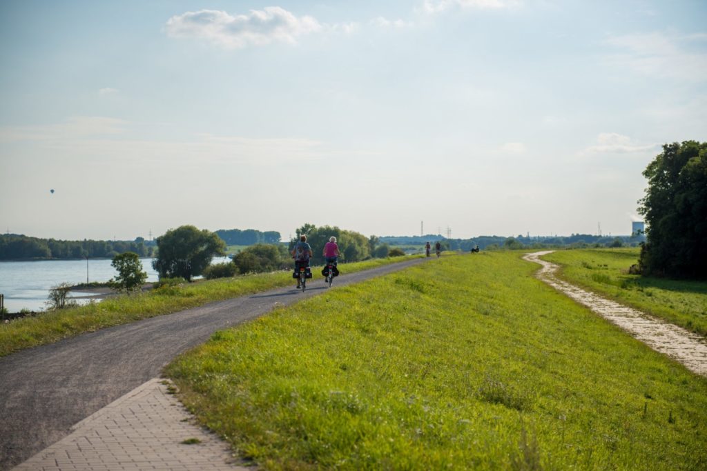 Das Bild zeigt Radfahrer auf dem Rheindeich in Voerde